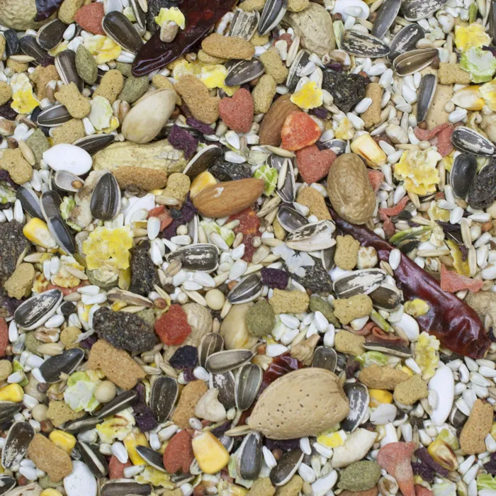 Higgins Sunburst Gourmet Blend Parrot 3lb food contents