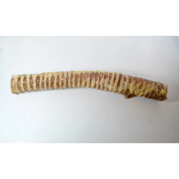 Home Range Beef Trachea 12"