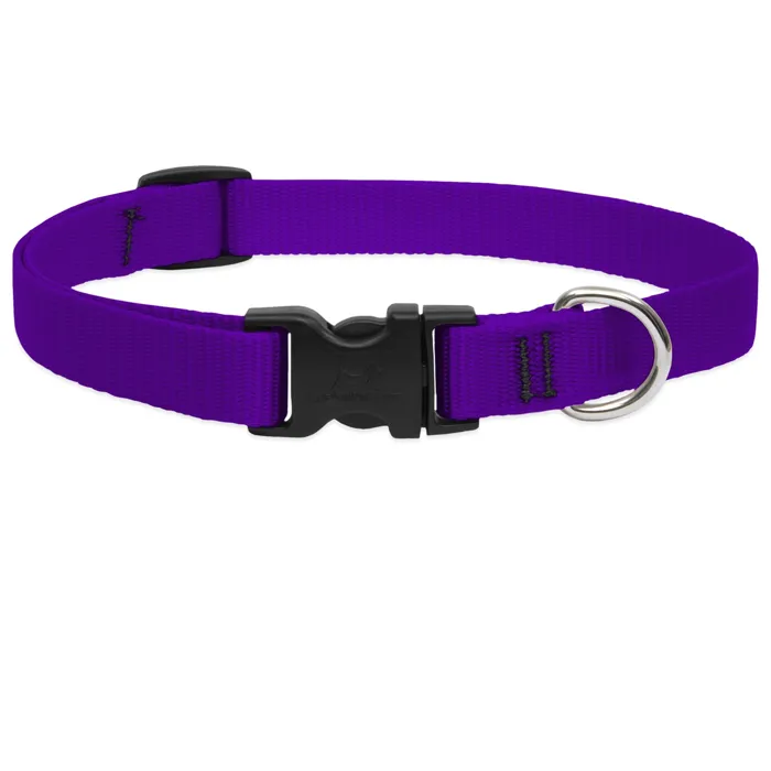 Lupine Basic Solids purple dog collar 15-25 inch front