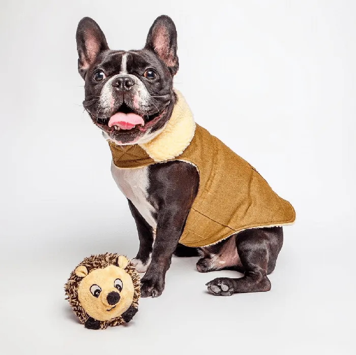 Fab Dog Faball Hedgehog medium lifestyle view