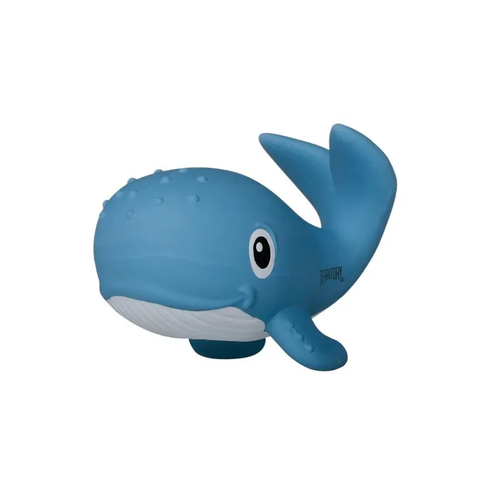 Territory Latex Squeaker Whale 6.5"