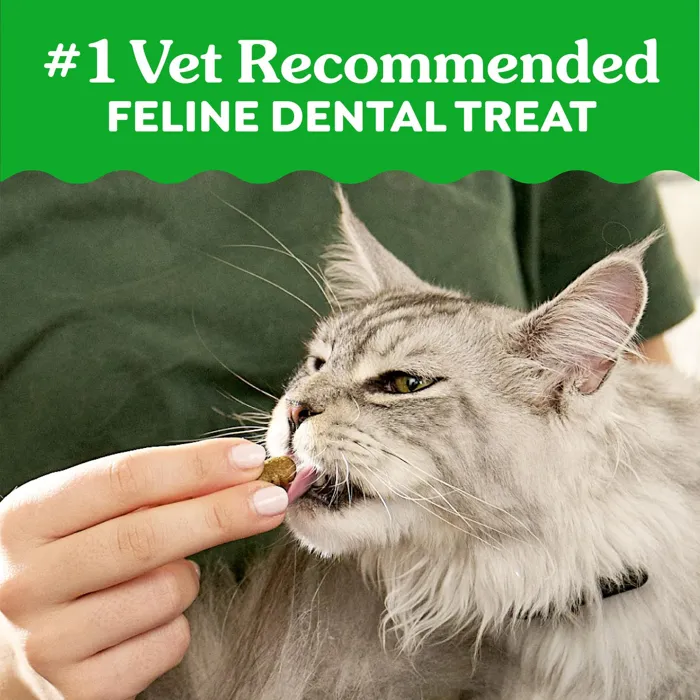 Greenies Feline dental treats vet recommended cat