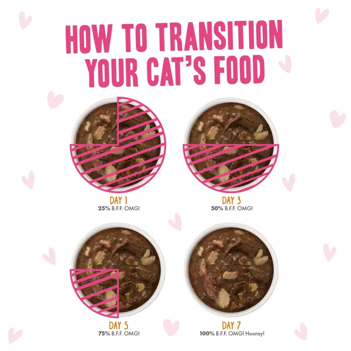 B.F.F Rainbow À Gogo cat food transition guide