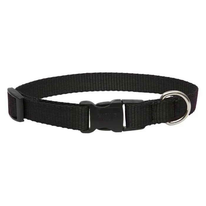 Lupine Basics Collar black 8-12 inch front view