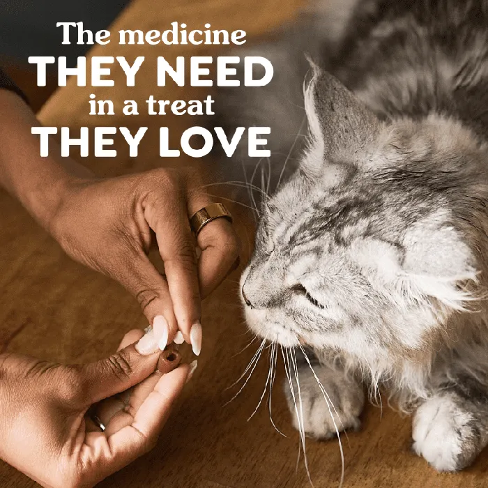 Greenies Feline Pill Pockets Chicken cat medication lifestyle