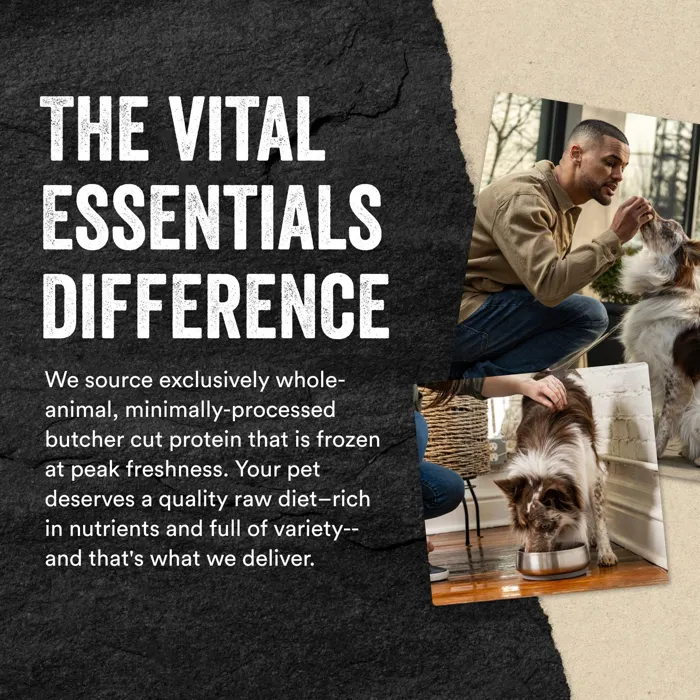 Vital Essentials Dog Salmon Bites 2.5-oz
