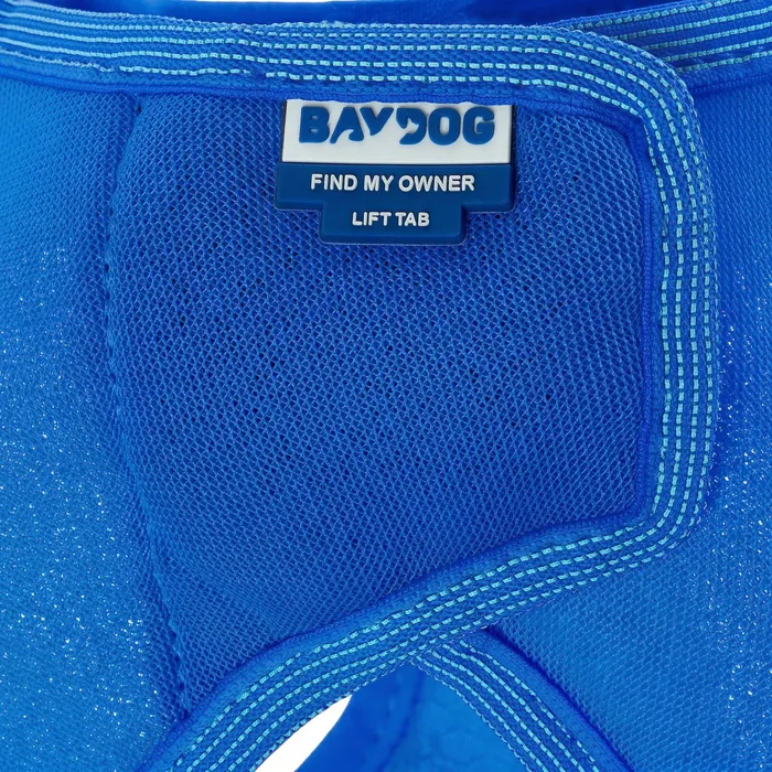 Bay Dog Liberty Bay Harness Bay Blue label close-up