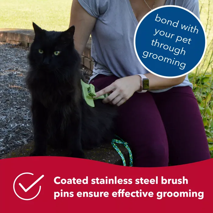 Safari cat slicker brush grooming lifestyle