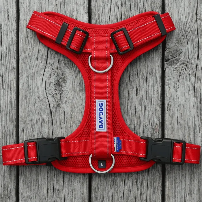 Bay Dog Chesapeake Harness Clifford Red Large underside view