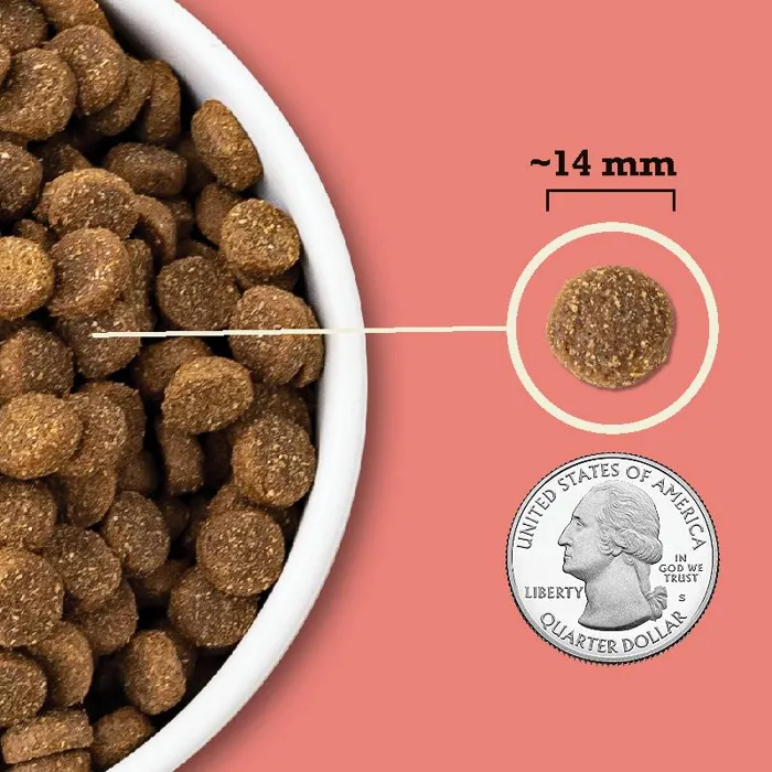 Acana Wholesome Grains Red Meat & Grains Dry Dog Food 22.5-lb
