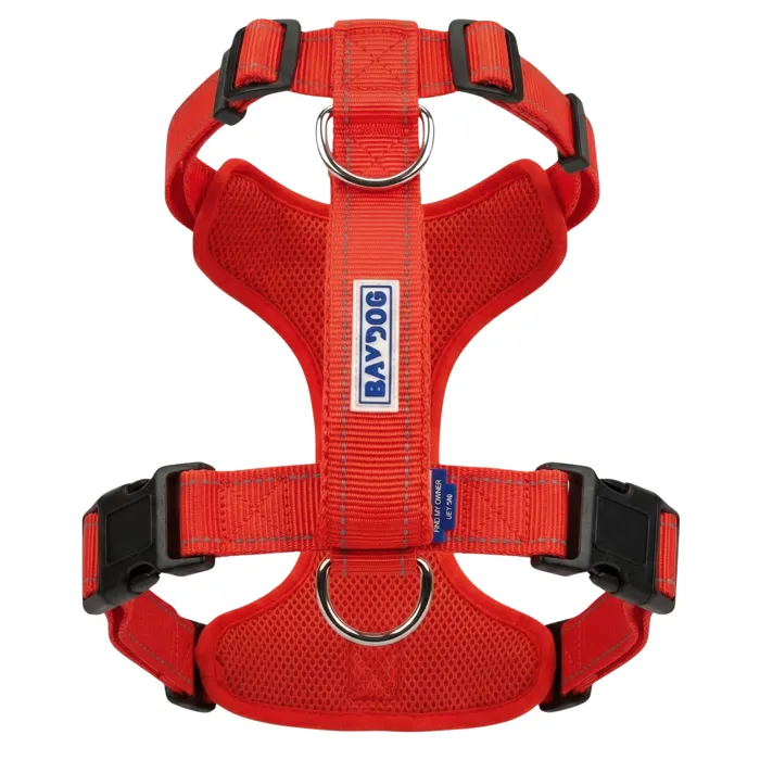 Bay Dog Chesapeake Harness Clifford Red Large back view