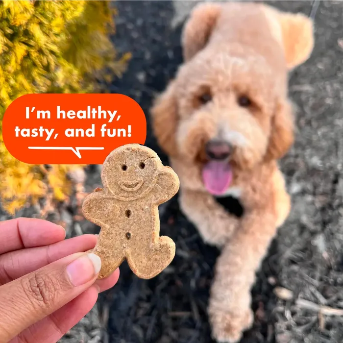 Buddy Biscuits Peanut Butter crunchy biscuit lifestyle