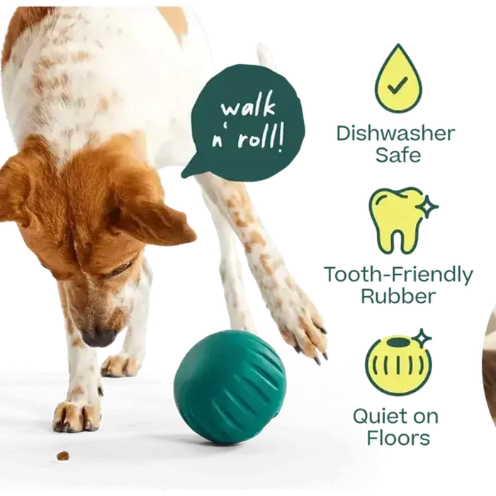 Woof Dog Toy Forager Walkabout Small