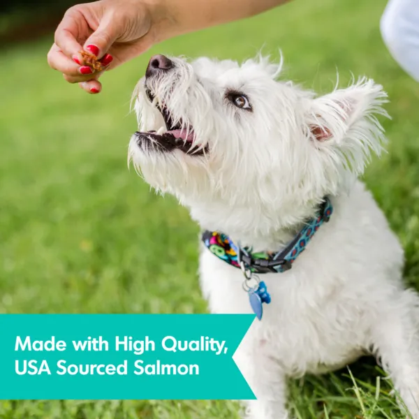 Dogswell Skin & Coat Salmon Jerky Recipe Grain-free Dog Treats 10-oz