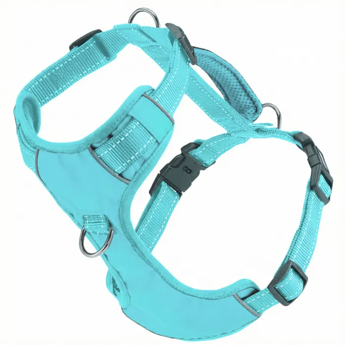 Bay Dog Chesapeake Dog Harness Sea Foam Large angled view