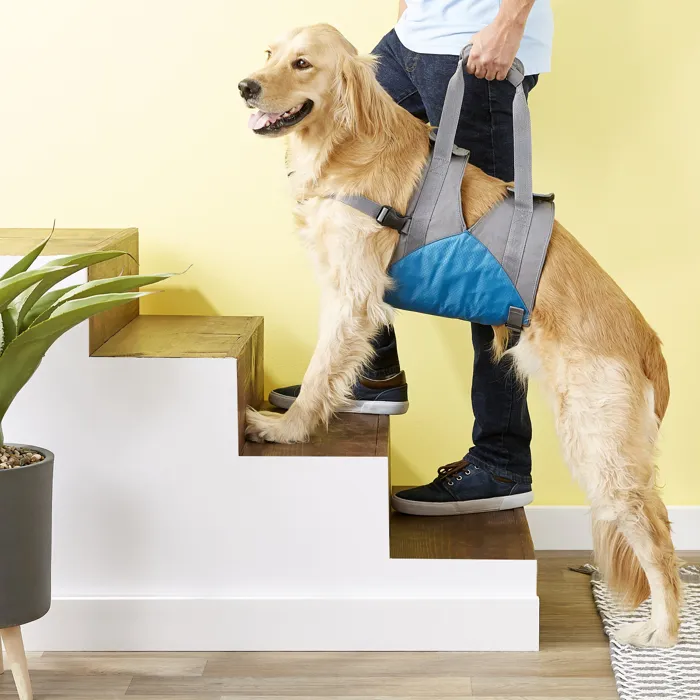 Kurgo Up & About Dog Lifter stair support lifestyle