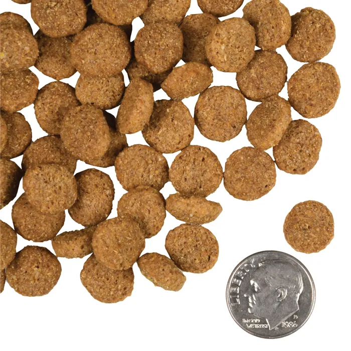 Fromm Gold Weight Management kibble pieces with dime