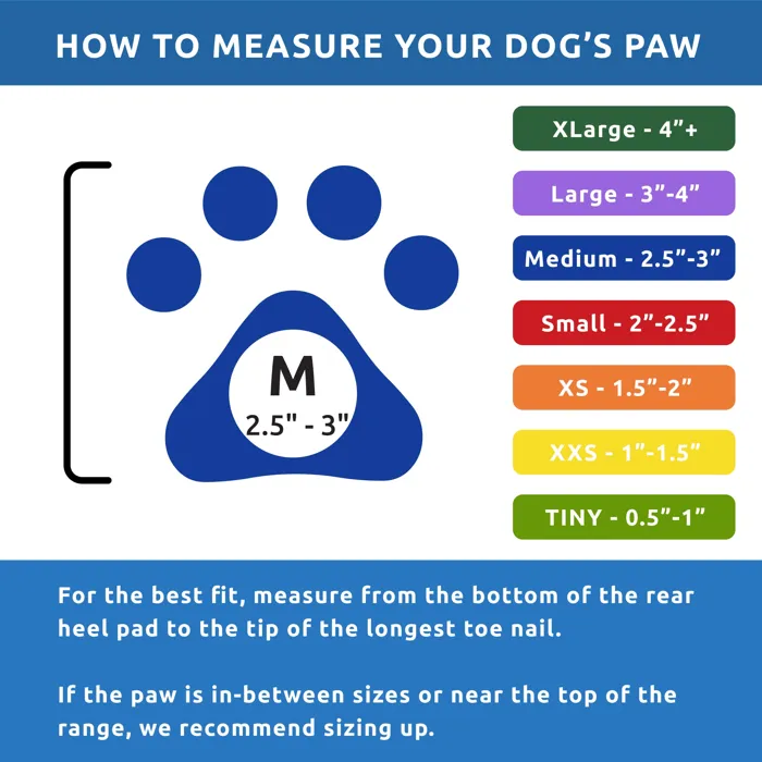 Pawz Dog Boots medium size guide 2.5 to 3 inches