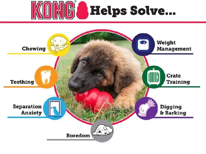 Kong Puppy Small