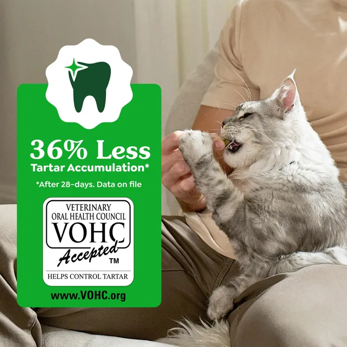 Greenies Feline Savory Salmon dental care cat lifestyle