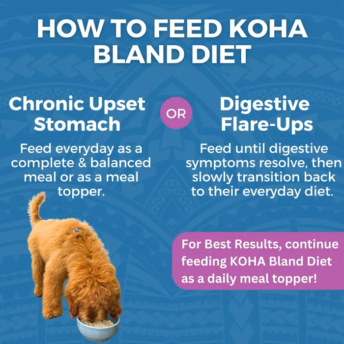 Koha Dog Bland Diet Lamb Pouch 12.5-oz