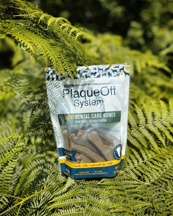 Plaqueoff Dental Care Bones Mini Vegetable Fusion 12-oz