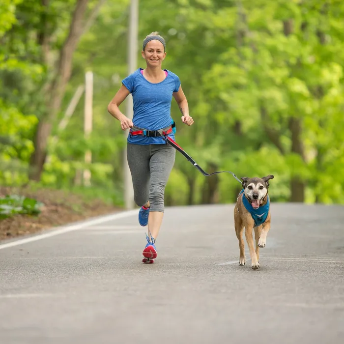 Kurgo Springback Lite Leash black red 30-inch running lifestyle