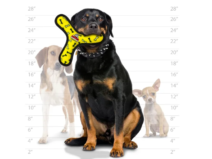 Ultimate Bowmerang-bone Print Yellow
