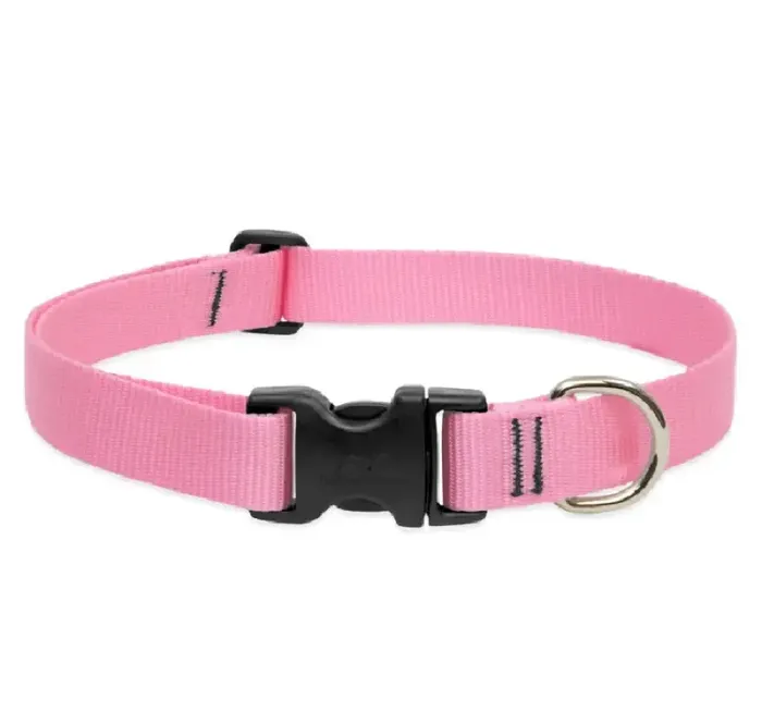 Lupine Adjustable Collar 1" 16-28" Pink
