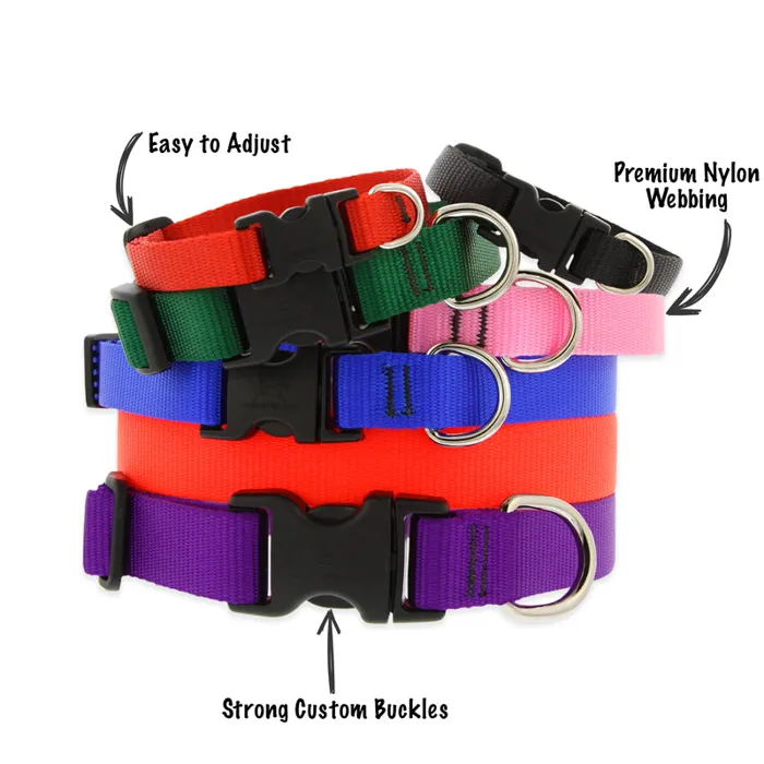 Lupine Basic Solids red collar adjustment and buckle details
