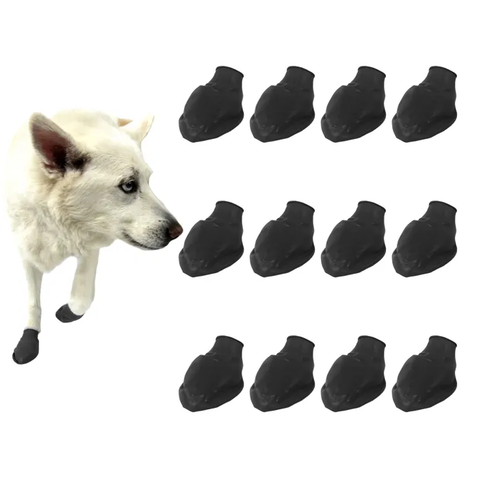Pawz Dog Boots black medium 12 count boots lifestyle