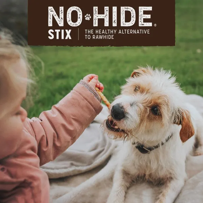 No-hide Easily Digestible Rawhide Alternative Salmon Flavor Dog Chews Small - 10-pack