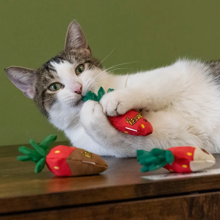 Yeowww! Catnip Strawberry Red cat toy lifestyle