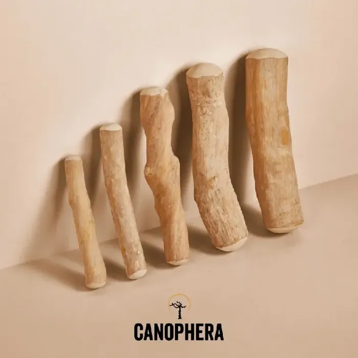 Canophera Coffee Wood Stick Xl