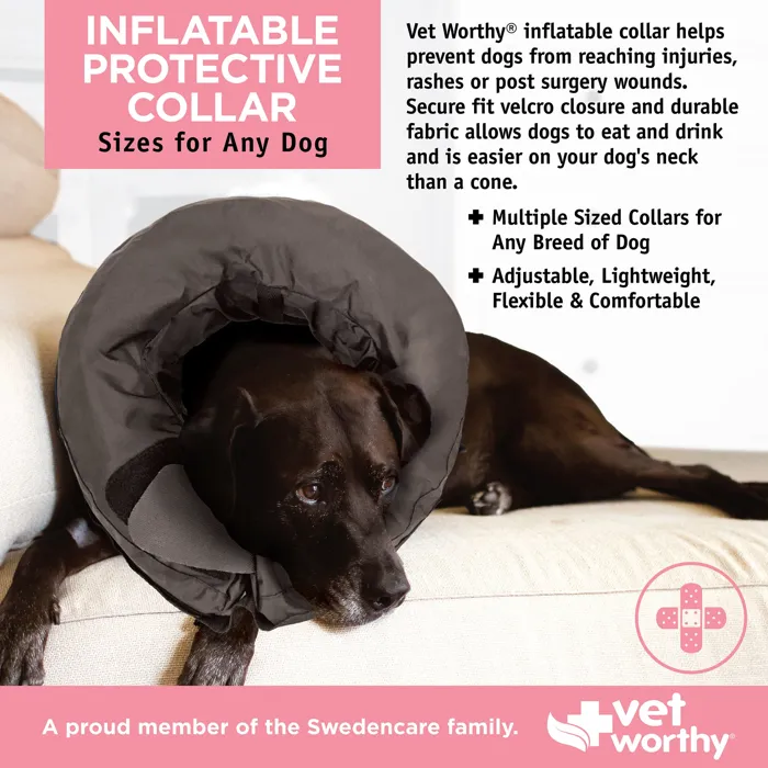 Vet Worthy Protective Collar black inflatable collar lifestyle