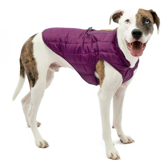 Kurgo Loft Jacket Large Violet