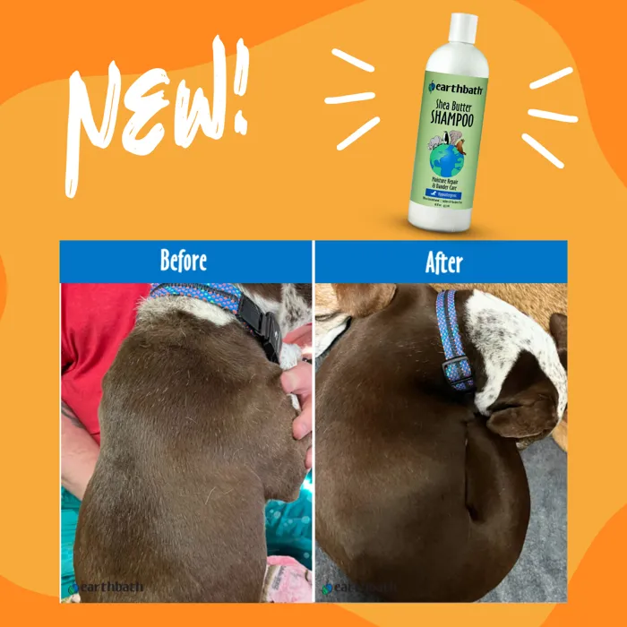 Earthbath Shea Butter Shampoo before-and-after coat graphic