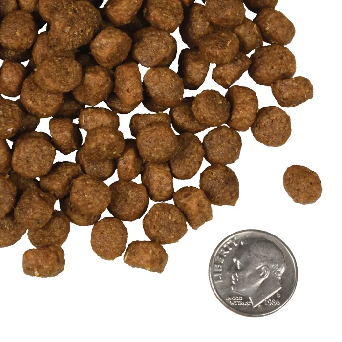 Fromm Four-Star Salmon A La Veg kibble close-up
