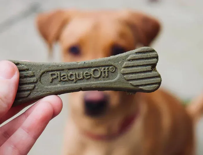 ProDen PlaqueOff Bacon dental bone close-up