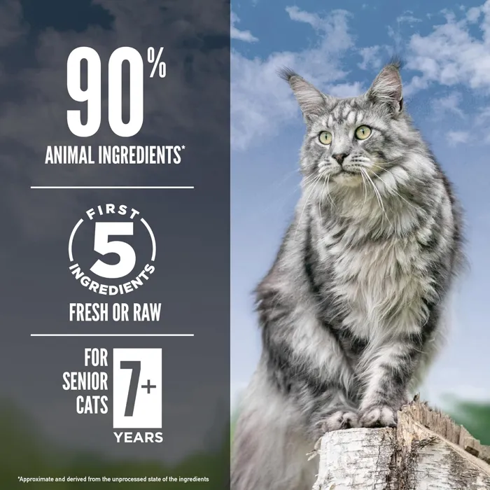 Orijen Cat Gf Guardian Senior 4-lb