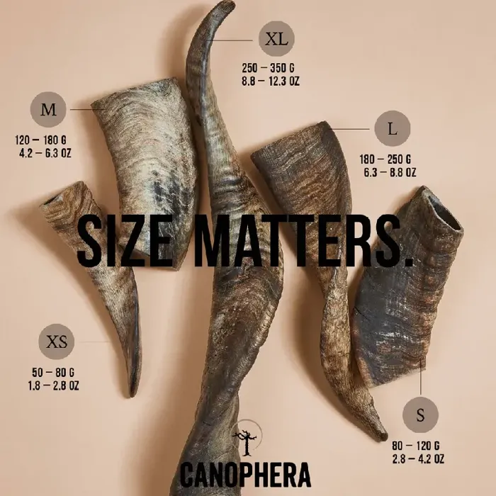 Canophera Sheep Horn Xl