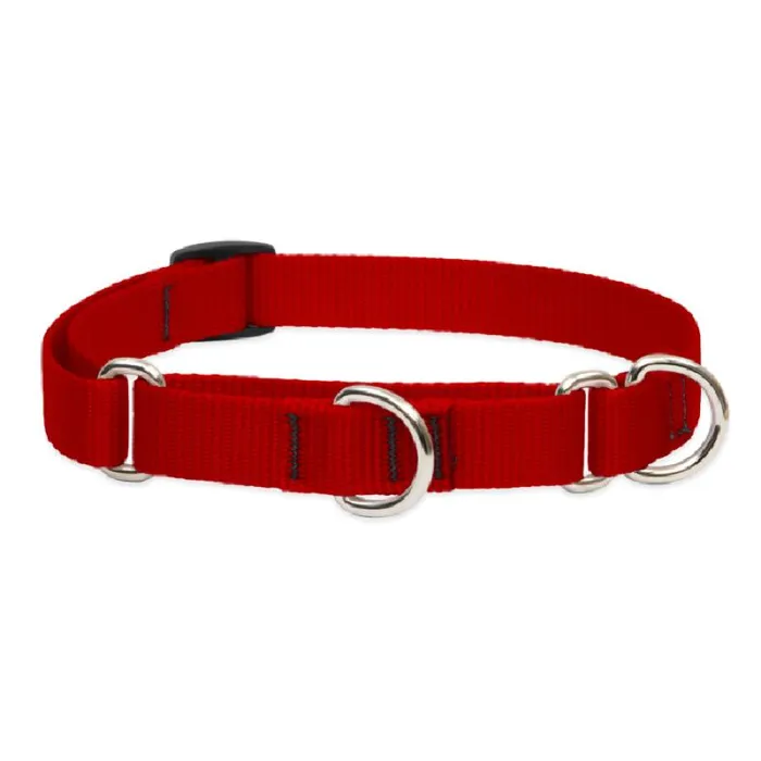 Lupine Solids - Martingale 3/4 Red 10 - 14"