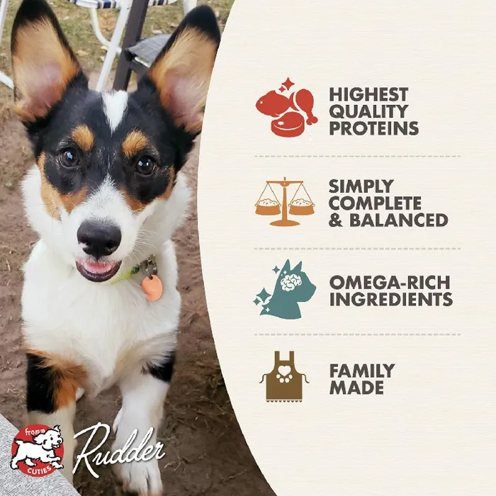 Fromm Dog Classic Puppy Ckn Slmn Pate Can 12.5-oz