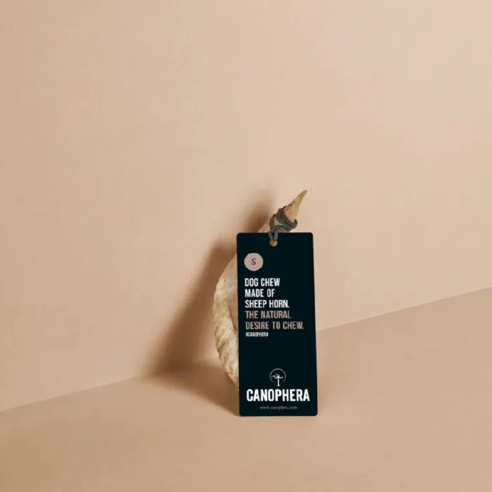 Canophera Sheep Horn Small