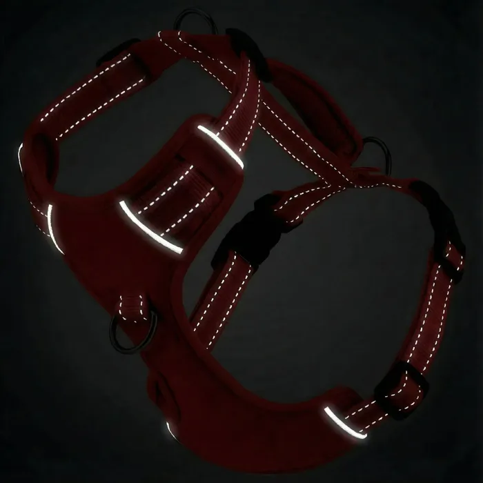 Bay Dog Chesapeake Harness Clifford Red reflective stitching view