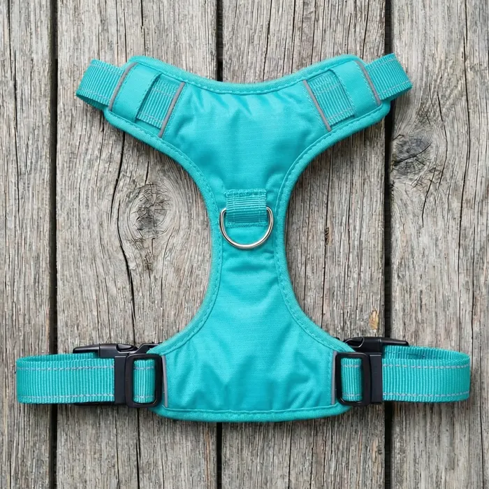 Bay Dog Chesapeake Dog Harness Sea Foam Large front view
