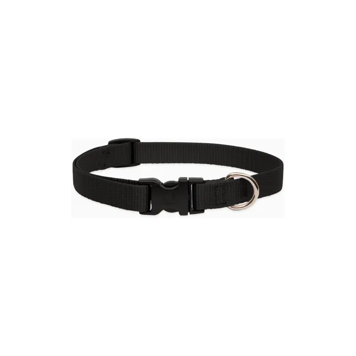 Lupine Basic Solids black 3/4-inch dog collar alternate view
