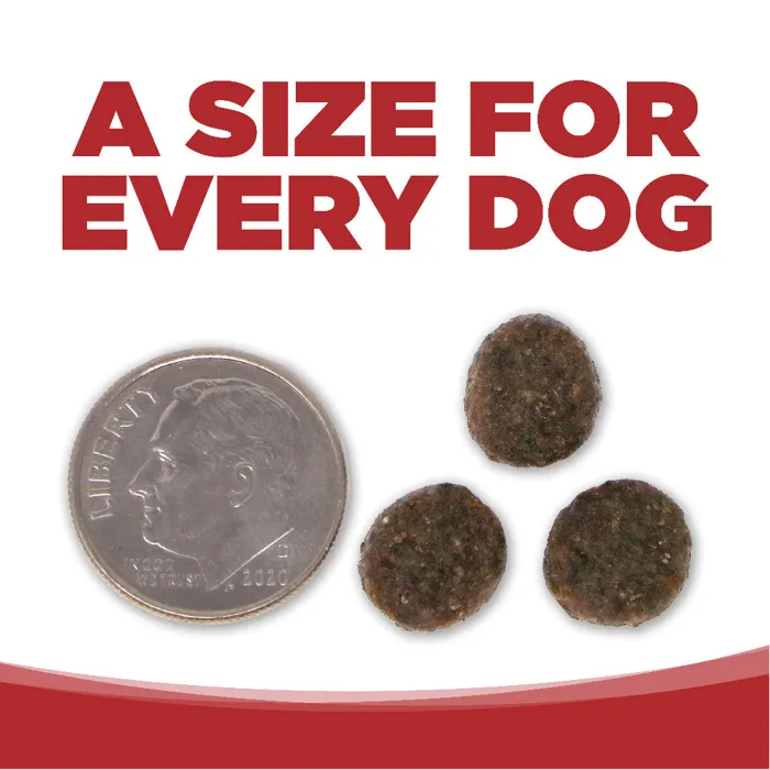 PureVita Beef Red Lentils kibble size comparison