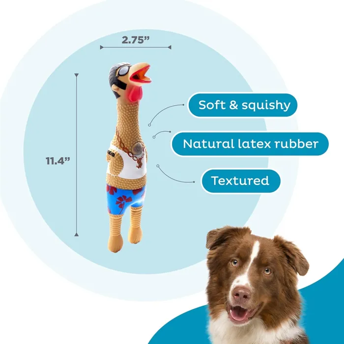 Outward Hound Earl Latex Dog Toy Large