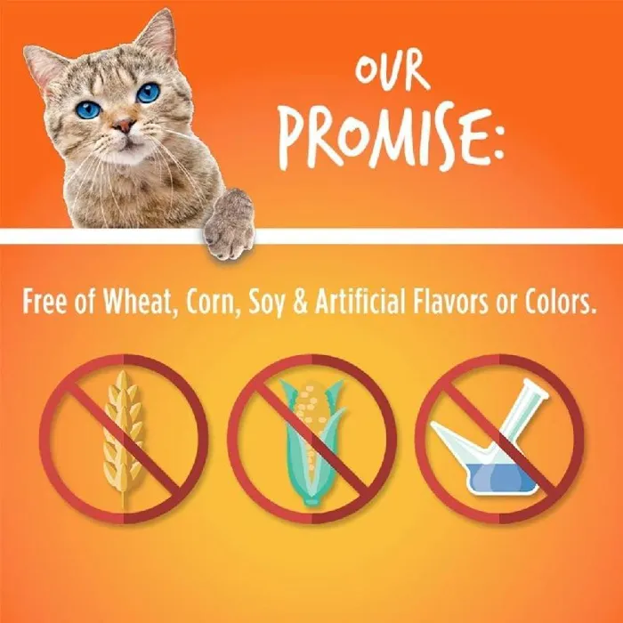 Fruitables Cat Treats Tuna/pumpkin 2.5 Oz